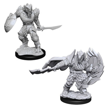 D&D: Nolzur's Marvelous Minis: Dragonborn Fighter Male